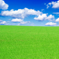 Similar image 2480033