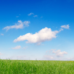 Similar image 2480034