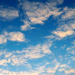 Similar image 2480041