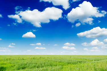 Similar image 2480042