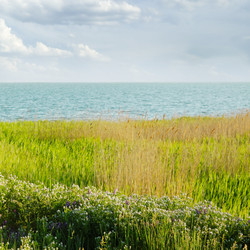 Similar image 2480120