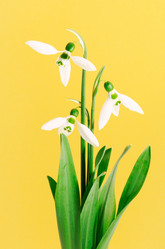 Similar image 2480141