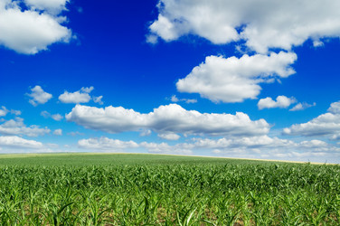 Similar image 2480187