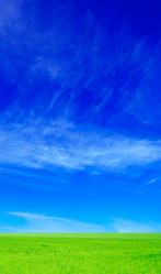 Similar image 2480189