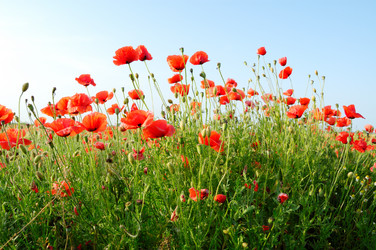 Similar image 2480190