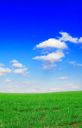 Similar image 2480240