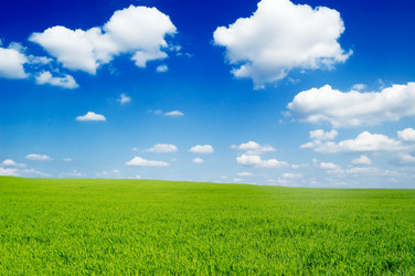 Similar image 2480244