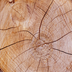 Similar image 2480247