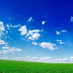 Similar image 2480295