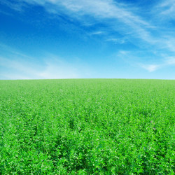 Similar image 2480305