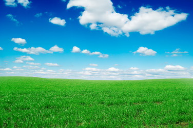 Similar image 2480309