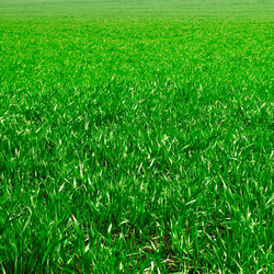 Similar image 2480314