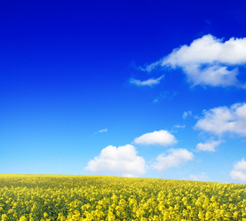 Similar image 2480316