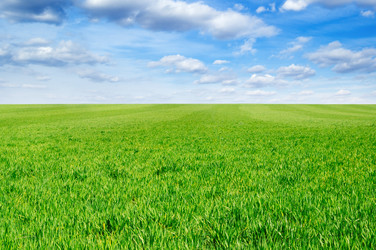 Similar image 2480345