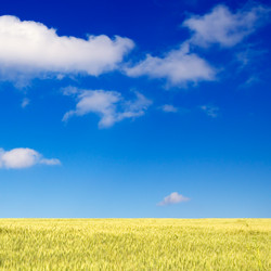 Similar image 2480352