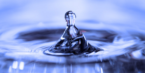 Similar image 2480355