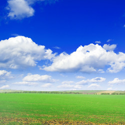 Similar image 2480356