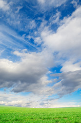 Similar image 2480357