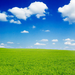 Similar image 2480383