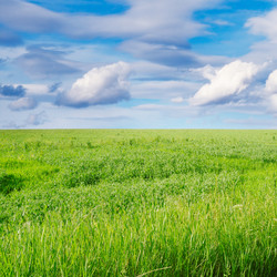 Similar image 2480386