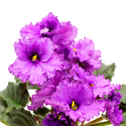 Similar image 2480388