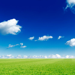 Similar image 2480389