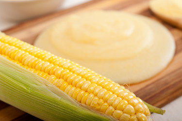 Similar image 2480402