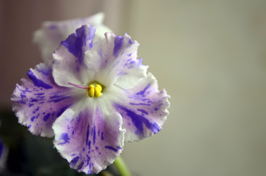 Similar image 2492177