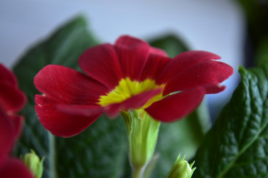 Similar image 2492179