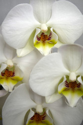 Similar image 2492180