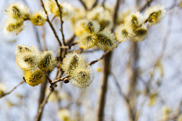 Similar image 2492186