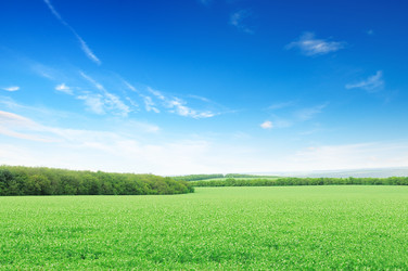 Similar image 2492389