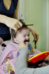 Similar image 2492390