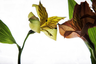 Similar image 2492612