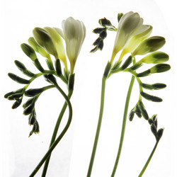 Similar image 2492614