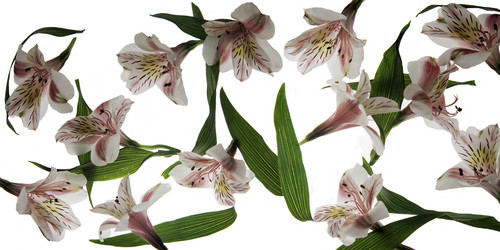 Similar image 2492615