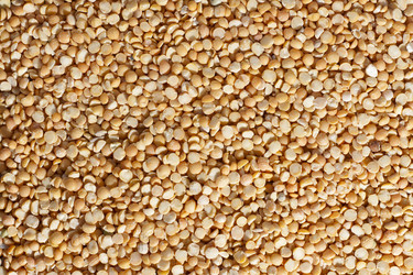 Similar image 2492672