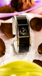 Similar image 2492796