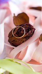 Similar image 2492809