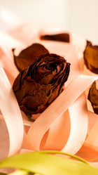 Similar image 2492810