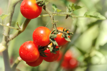 Similar image 2493285