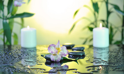 Similar image 2493286