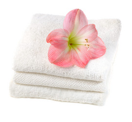 Similar image 2493288