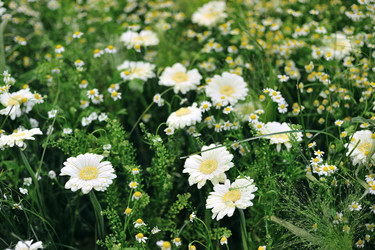 Similar image 2493355