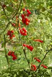 Similar image 2493356