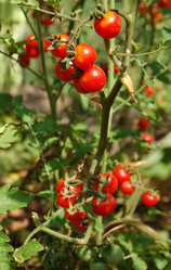 Similar image 2493358