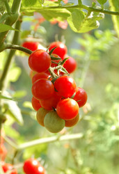 Similar image 2493359