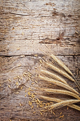 Similar image 2494116