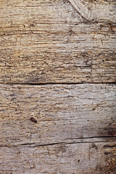 Similar image 2494119