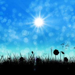 Similar image 2494130